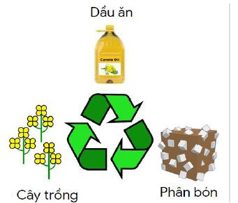 Tái chế dầu ăn