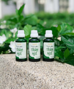 Tinh dầu tràm Huế