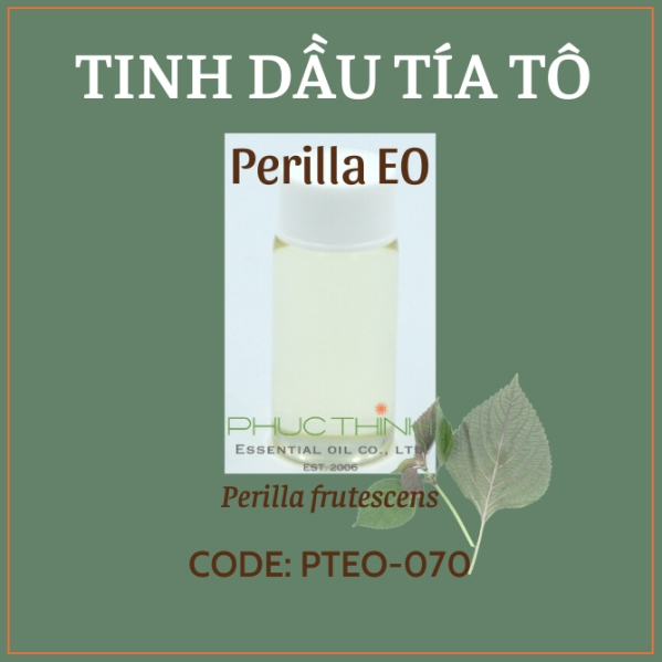 Tinh dầu tía tô