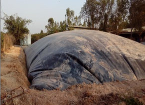 Lắp đặt Biogas