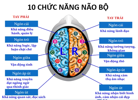 Sinh trắc vân tay