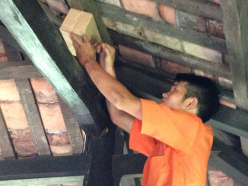 Dịch vụ diệt mối, mọt