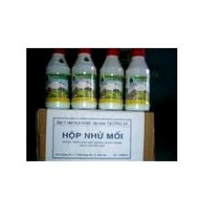 Thuốc trừ mối