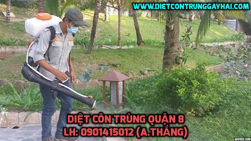 Dịch vụ diệt côn trùng