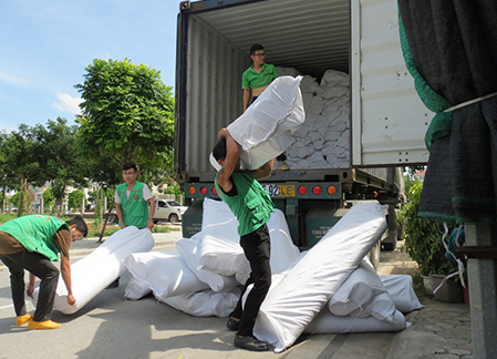 Bốc xếp hàng