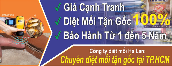 Dịch vụ diệt mối tận gốc