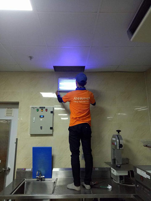 Dịch vụ diệt muỗi