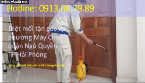 Dịch vụ phòng và diệt mối