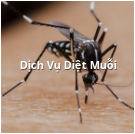 Dịch vụ diệt muỗi