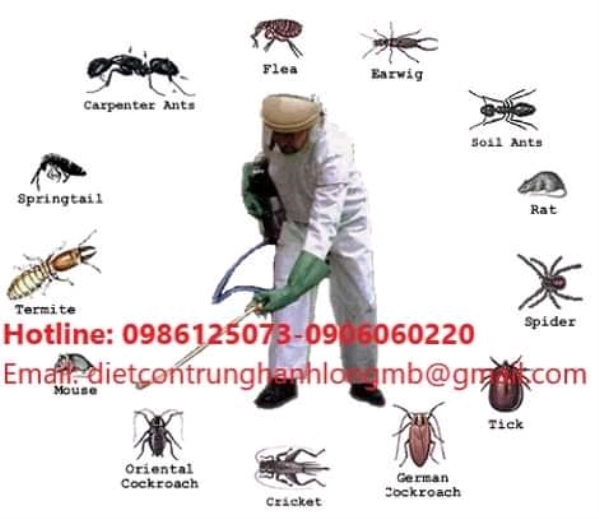 Diệt ruồi, muỗi, kiến, gi&aacute;n