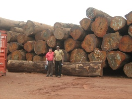 Gỗ sồi trắng tròn