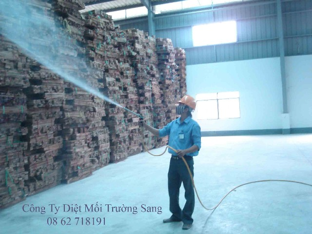 Phun thuốc khử trùng gỗ