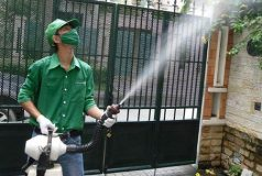 Dịch vụ diệt muỗi