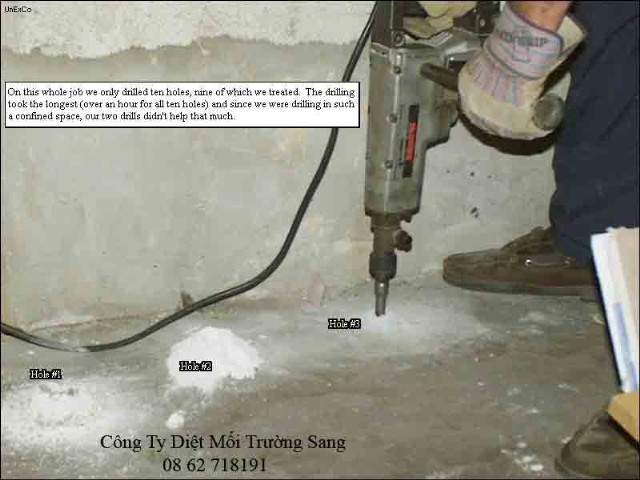Khoan phòng mối