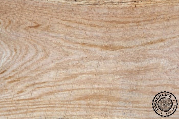 Gỗ sồi trắng - White Oak