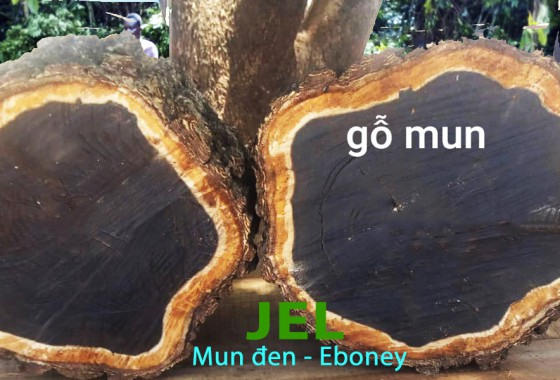 Gỗ mun đen Eboney