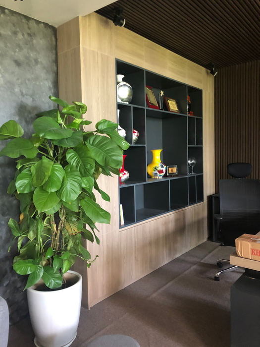 Hình ảnh sản phẩm