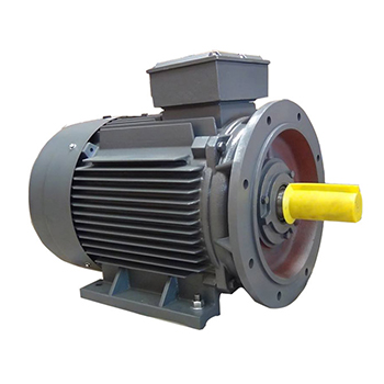 Motor QM chân đế mặt bích