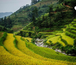 Tour du lịch