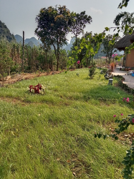 Du lịch Tràng An