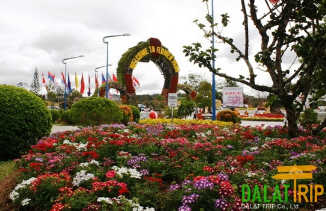 Tour du lịch