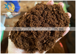 Xơ dừa, mụn dừa