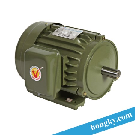 Motor - Động cơ điện thân gang chân đế