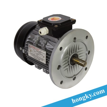 Motor - Động cơ điện thân nhôm mặt bích