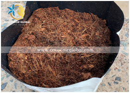 Xơ dừa, mụn dừa