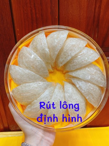 Tổ yến rút lông định hình