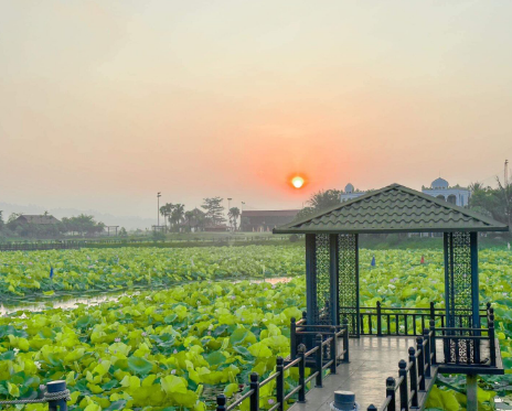 Tour du lịch