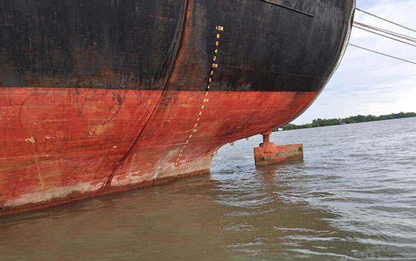 Giám định hàng hải