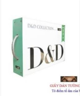 Giấy dán tường D-D