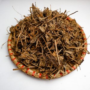 Dây thìa canh