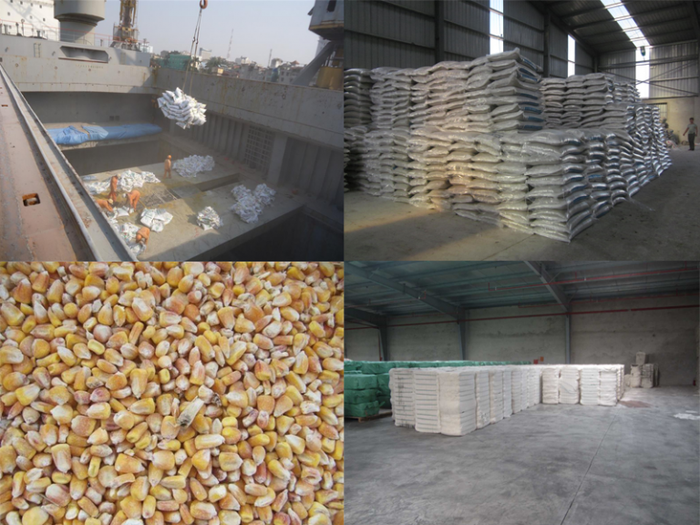 Giám định phân bón