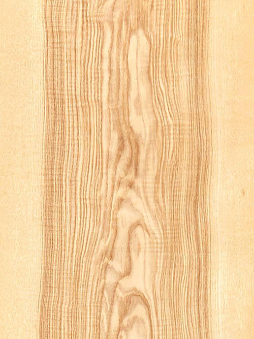 Veneer Oliver Ash