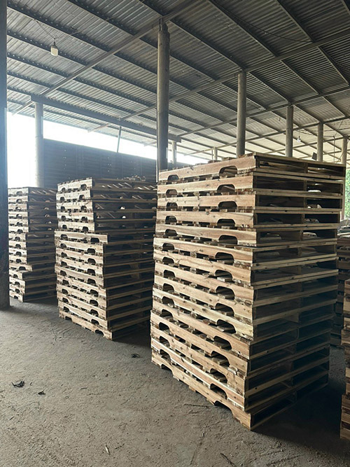 Pallet gỗ