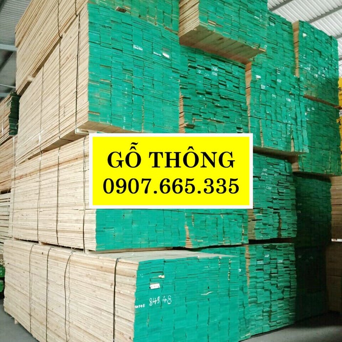 Gỗ thông nhập khẩu