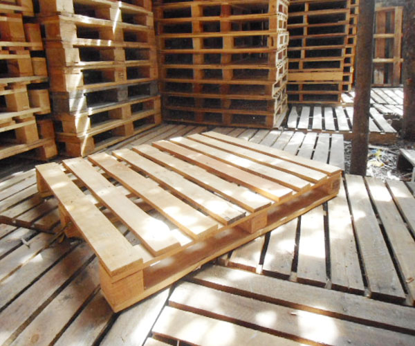 Pallet gỗ