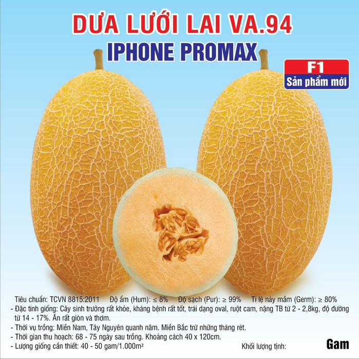 Hạt giống dưa lưới lai VA.94