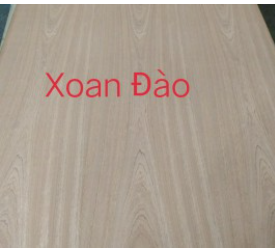 Ván phủ Veneer xoan đào