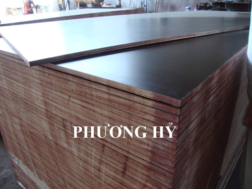 Ván ép phủ phim