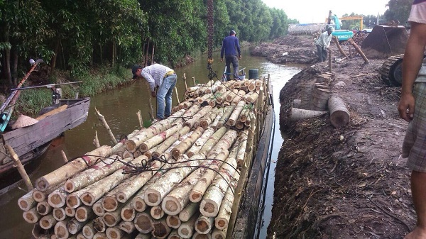 Gỗ mua trong nước