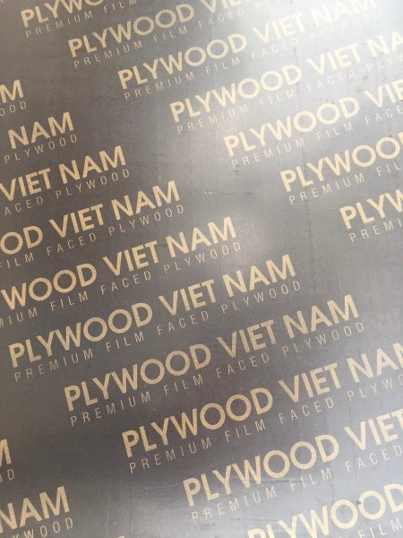 Ván phủ phim Plywood Việt Nam