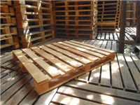 Pallet gỗ 4 hướng nâng