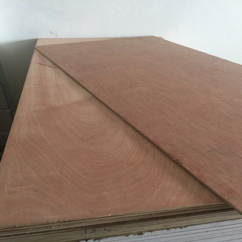 Gỗ dán mặt đỏ
