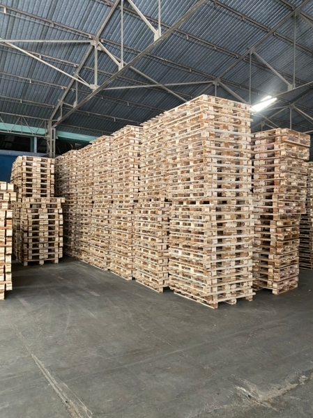 Pallet gỗ