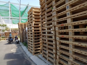 Pallet gỗ thông