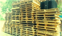 Pallet gỗ