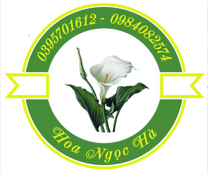 Hoa Tươi Ngọc Hà